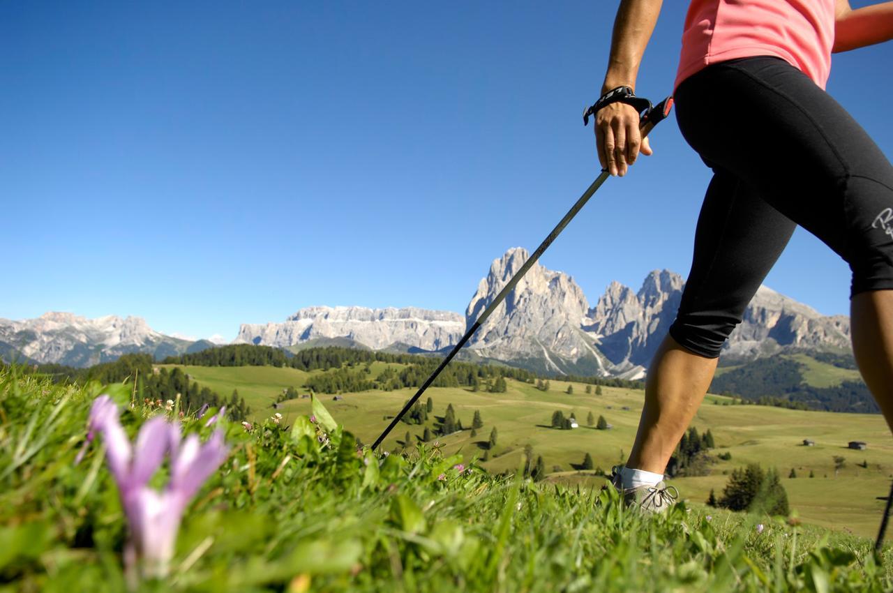 Hotel La Truga Selva di Val Gardena Exteriér fotografie